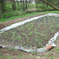 single house reedbed