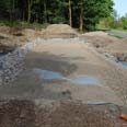 large reedbed install