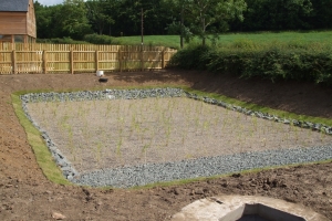 Purclewan 1 reedbed planted